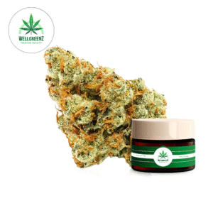 Northern Lights Strain