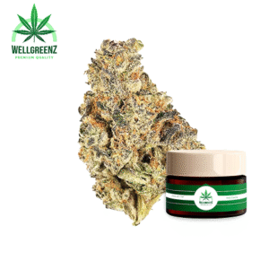 Gator Breath