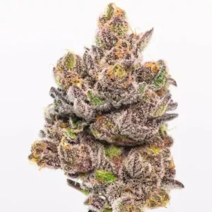 Four Way Strain