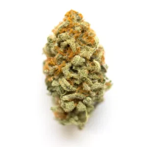 Buy Gmo Cookies Strain Online