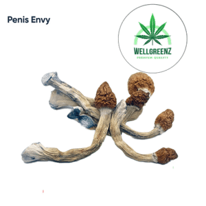 Penis Envy Mushroom