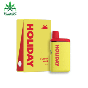 HOLIDAY DISPOSABLE VAPES